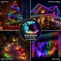 Modules LED étanches IP68 à haute luminosité, lumières ponctuelles, DC 5V 12V RGB WS2811, lumière LED pixel permanente pour extérieur
