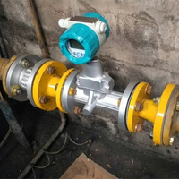 LUBX Intelligent Precession Vortex Flow Meter with Integrated Temp Pressure Compensation for Natural Gas HART 4-20mA