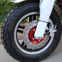 Tricycle de Mobilité pour Personnes Âgées et Handicapées, 125cc, Frein à Disque, Capot Personnalisé, Vente Directe Usine