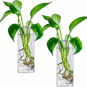 Vase en verre cylindrique mural, décoration <span class=keywords><strong>murale</strong></span> créative pour <span class=keywords><strong>salon</strong></span>, transparent, simplicité moderne, hydroponique, fleur - Product Image 1