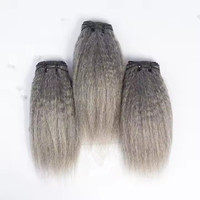 Extensions de cheveux humains africains Kinky Straight, gris sel et poivre, gris argenté, mèches de cheveux tissés gris argenté, Yaki grossier gris argenté, 100g