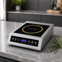 Kompor Induksi Portabel 3500W Harga Pabrik, Satu Zona, Ringkas, Bahan Stainless Steel 220V untuk Dapur Rumah