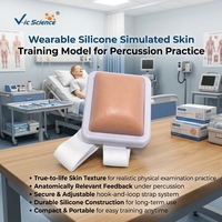 Maniquí de Inyección Intramuscular, Modelo VIC-18B, Material PVC, para Educación y Entrenamiento Hospitalario, CE/CNAS/ROSH/ISO