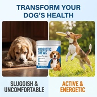Probiotiques pour chiens OEM avec friandises à mâcher prébiotiques, friandises probiotiques pour chiens avec enzymes de citrouille, prébiotiques, santé intestinale, système immunitaire