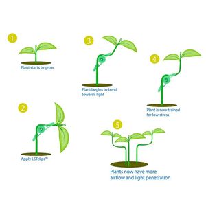 Abrazadera para Ramas <span class=keywords><strong>de</strong></span> Plantas, Ideal para Botánica, Clip <span class=keywords><strong>de</strong></span> Cultivo para Interior y Exterior, para Entrenamiento <span class=keywords><strong>de</strong></span> Tallos - Product Image 3