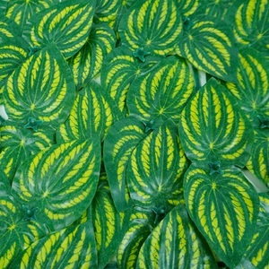 Hiedra Artificial de PVC Ecológica, Realista, <span class=keywords><strong>para</strong></span> Privacidad, Valla Decorativa <span class=keywords><strong>para</strong></span> Jardín, Hogar, Oficina, Balcón - Product Image 3