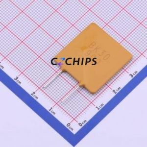 BK30-900-SZ Resettable Fuse Through hole Component (THT) Fuse 30V 40A 9A 18A - Product Image 1