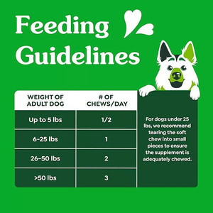 Suplemen perawatan kesehatan hewan peliharaan Label pribadi mantel kulit anjing kunyah lembut untuk promosi berkilau mantel lebih lembut lebih sehat - Product Image 4