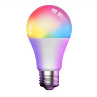 Ampoule LED Intelligente Économe en Énergie RGB Globe 9W Télécommandée à Changement de Couleur 2700K Blanc Chaud Lumière d'Ambiance IP65