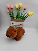 Capybara Snap Ring Cartoon Decompression Super Soft Plush Comforter Doll Bracelet Toy Birthday Washed