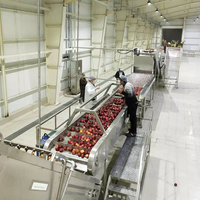 Projet clé en main 500-20000 kg/H Machine à jus de pommes/poires Usine de production complète de pommes Ligne de traitement de jus de pomme Pulpe de pomme