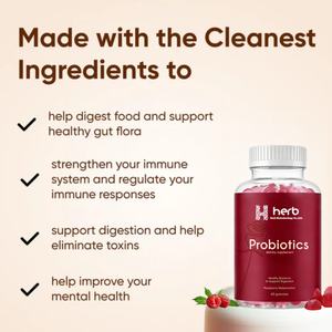 Gummies Probiotiques-Multivitamines ODM/OEM pour la Santé Digestive et le Soutien Immunitaire des Adultes, 60 unités, 2 par dose, Prébiotiques et Minéraux - Product Image 3