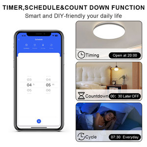 Ledeast DS-1589FWN wifi thông minh cắm <span class=keywords><strong>Outlet</strong></span> với tuya app điều khiển từ xa Alexa Google điều khiển bằng giọng nói chức năng hẹn giờ - Product Image 4