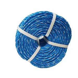 Groothandel Plastic Polypropyleen Pp Danline Touw Met Geel Witte Kleur 10Mm * 220M 12Mm X 220M Blauw Groen Rood Beige