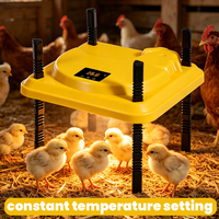 Chauffe-poussins électrique pour volailles, plaque chauffante réglable pour poussins, en vente