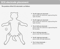 Moniteur multiparamétrique portable pour soins intensifs vétérinaires avec ECG et signes vitaux, certifié CE Classe II, à brancher, pour chiens, chats, lapins