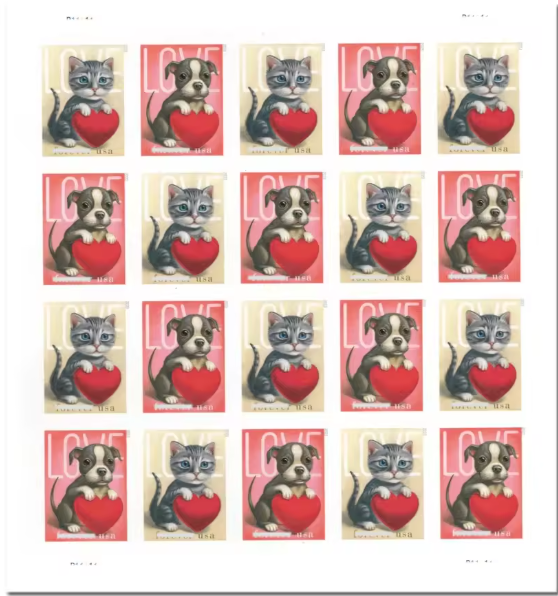 2023 Amour chat et chien A124