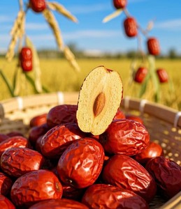 ขนมผลไม้<span class=keywords><strong>พุทรา</strong></span>แดงอบแห้งคุณภาพสูงขายดี ผลิตจากพุทราออร์แกนิก ด้วยกระบวนการถนอมอาหารแบบธรรมชาติ สำหรับขายส่ง - Product Image 3