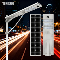 Nouveau modèle de lampadaire solaire électrique extérieur personnalisable 100W 200W