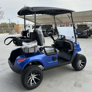 Carrito de Golf de 2 Plazas con Servicio Postventa de por Vida, Batería de Litio para Campo de Golf, Carga Rápida, Alcance de 100 km, Vehículo Eléctrico - Product Image 4