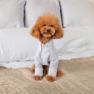 세련되고 우아하며 튼튼한 애완동물 봄옷 강아지 액세서리 고급 애완동물 의류 - Product Image 6
