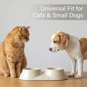 Gamelle double économique pour chats et chiens, en plastique PP écologique, légère, antidérapante, pour l'alimentation - Product Image 6