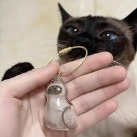 Gantungan Kunci Kenang-kenangan Hewan Peliharaan Mewah dari Plastik dengan Kotak Penyimpanan Kedap Udara dan Tahan Air untuk Pemilik Hewan Peliharaan