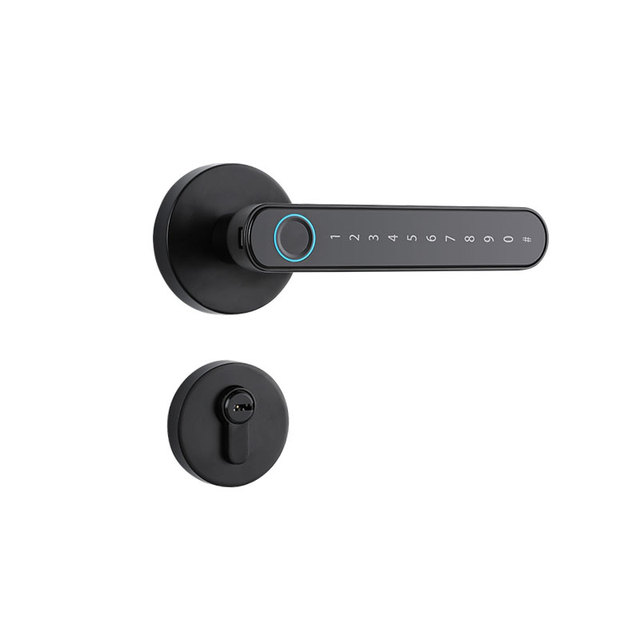 Smart Home Fingerprint Password Card Key With Tuya BLE App With Phone Unlock Smart Door Lock For Apartment