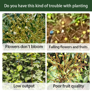 Fertilizante Específico para Pistachos, Promueve <span class=keywords><strong>el</strong></span> Crecimiento, Fortalece los Árboles, Estimula la Floración y Fructificación, Aumenta <span class=keywords><strong>el</strong></span> Rendimiento - Product Image 3