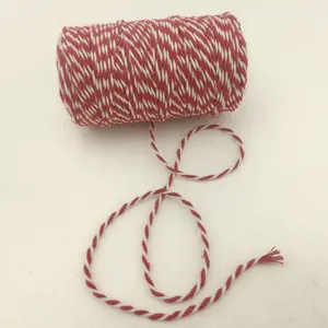 Hete Verkoop 3Mm Kleurrijke Gedraaide Katoenen Touw Diy Ambachtelijke Katoenen Koord Macrame Katoenen Touw