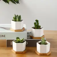 Home Decor Desktop Sechseckige Blume Sukkulente Pflanzer Topf Bambus ständer Günstige Mini Keramik Blumentopf