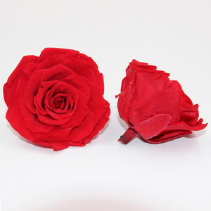 Rosa Eterna, Rosa Preservada, Flor Eterna, Infinita, Para Siempre, Rosas Eternas Preservadas de 8cm y 9cm - Product Image 5