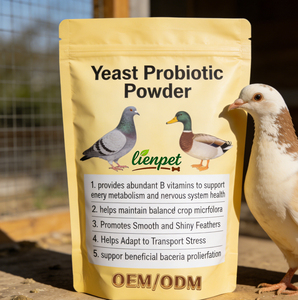 Poudre de probiotiques à base de levure pour <span class=keywords><strong>pigeons</strong></span> et canards, complément alimentaire pour canards, poulets et volailles - Product Image 2