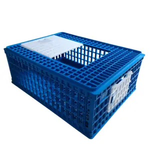 अनुकूलित प्लास्टिक लाइव चिकन पिंजरे बॉक्स पोल्ट्री परिवहन की खेती के लिए चिकन टोकरा उपकरणों PH243