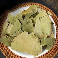 Natürliche Getrocknete Ginkgo Biloba Blätter, Schwefelfreies Kräuter-Rohmaterial für Teemischungen, Pflanzenextrakt & Wellness-Formel