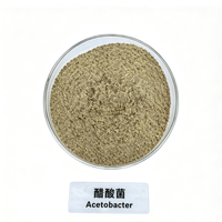 Culture pure d'Acetobacter 10 milliards UFC en poudre pour la fermentation de l'acide acétique, sacs kraft de 25 kg, durée de conservation de 12 mois, étanche