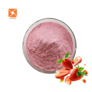 Fournisseur chinois Poudre de fruit soluble Poudre de fraise biologique Poudre de fruit de fraise
