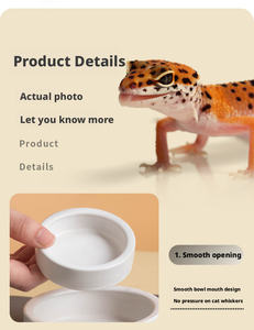 ชามอาหารสัตว์เลื้อยคลานแบบเซรามิกทรงกลม กันน้ำ กันลื่น ป้องกันหนอนหนี สำหรับกิ้งก่า ตุ๊กแก - Product Image 4