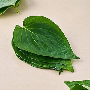 Hojas de Betel Frescas de Granja, Hojas Verdes Naturales Enteras para Prácticas Culinarias Tradicionales, Aplicaciones Herbales y Uso Diario en el Hogar - Product Image 2