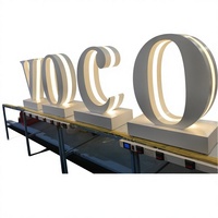 Lettres 3D LED Indépendantes avec Coque en Acier Inoxydable et Panneau Acrylique, Bande LED Intégrée à Lumière Stable - Utilisation Intérieure/Bureau/Magasin