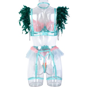 Ensemble de lingerie en dentelle Feather Lingerie 4 pièces, soutien-gorge en <span class=keywords><strong>tulle</strong></span> <span class=keywords><strong>transparent</strong></span>, porte-jarretelles, lingerie sensuelle pour femmes - Product Image 5