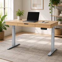 Bureau debout électrique avec plateau en bois, hauteur réglable, ergonomique, pour bureau à domicile, avec tiroirs