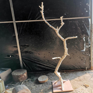 Cành cây khô sỉ, nhiều kích cỡ, dùng trang trí trần nhà, làm móc treo quần áo, quà tặng tốt nghiệp, quà tặng Ngày của Cha, quà tặng Ngày của Mẹ - Product Image 2