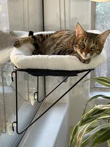 Luxus Lieferanten Hochwertiges langlebiges Fenster Installieren Sie <span class=keywords><strong>Cat</strong></span> Sleeping Hammock <span class=keywords><strong>White</strong></span> Sherpa Plüsch Pet <span class=keywords><strong>Cat</strong></span> Hanging <span class=keywords><strong>Bed</strong></span> Indoor - Product Image 3