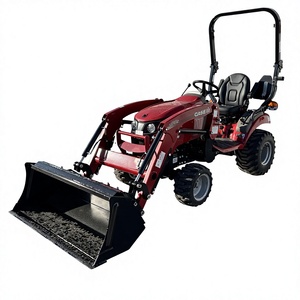 Para Tractor de Ruedas IH Farmall 25SC 25HP con Motor, Compradores Internacionales - Product Image 3