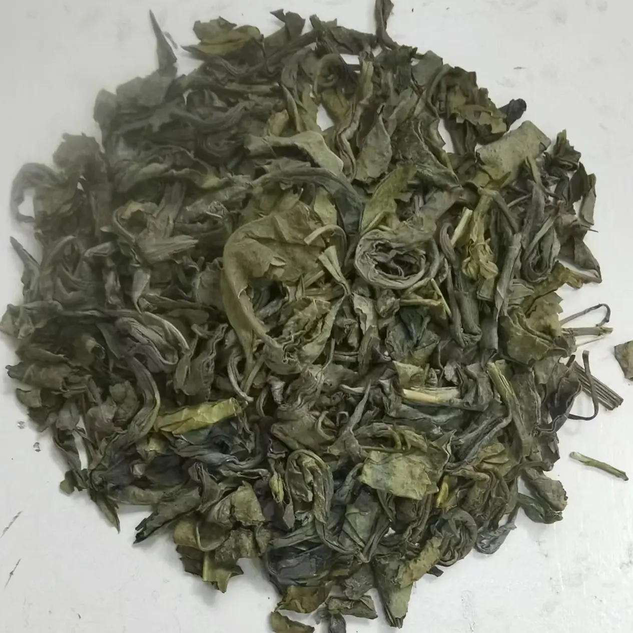 China Te Verde Chunmee Oganic 707/708 Té de serie chunmee de alta calidad para Argelia Maroc Mali y África