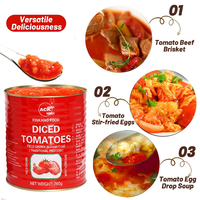 Fournisseur d'usine : Tomates pelées entières ACK en morceaux, 760g, boîtes de conserve, lot de 12, spécial cuisson pour chefs de restaurants commerciaux en Chine