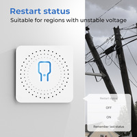 Télécommande intelligente pour la maison Prise en charge de la surveillance de l'énergie Alexa Google Mini Tuya WiFi Gradateur intelligent
