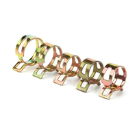 115 pièces 6-22mm colliers de serrage ou pinces à ressort zinc plaqué gaz eau collier de serrage outils en métal Kit d'assortiment