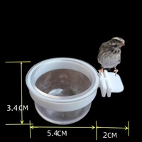Nouveau mangeoire à oiseaux suspendue 2025, écologique, solide, étanche, anti-éclaboussures, en plastique, pour oiseaux sauvages de jardin extérieur